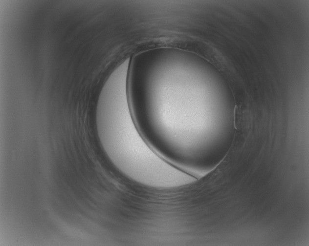 X0000081450750200701121014
