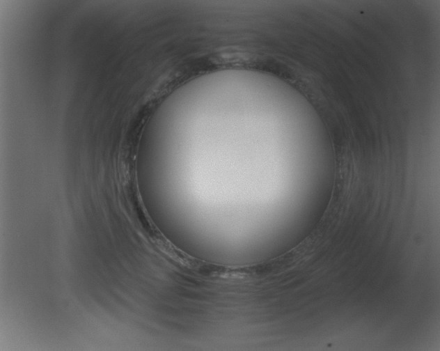 X0000081450751200701121014