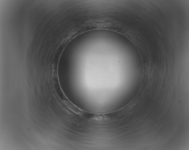 X0000081450752200701121014