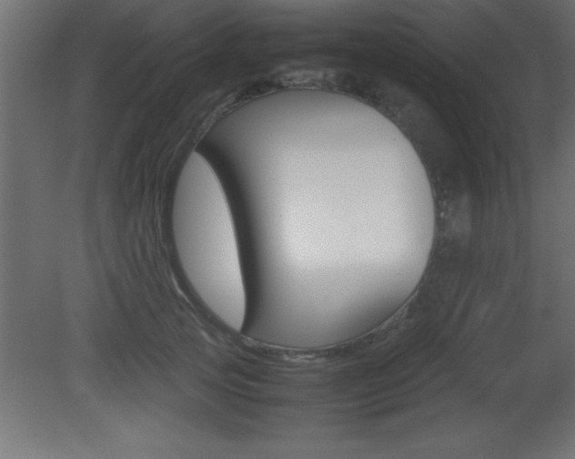 X0000081450753200701121014