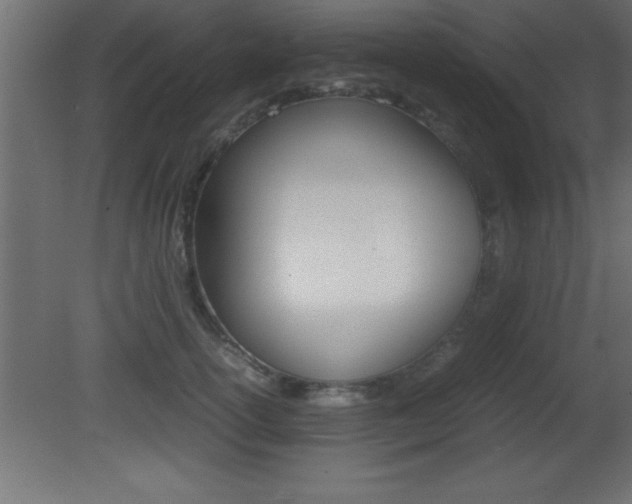 X0000081450754200701121014