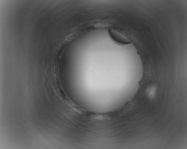X0000081450755200701121014