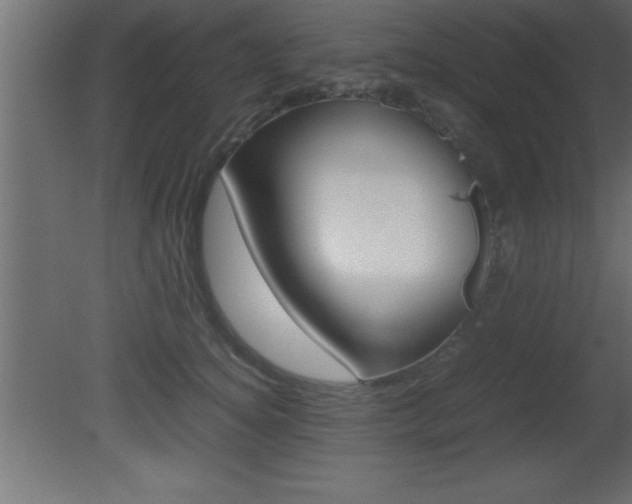 X0000081450756200701121014