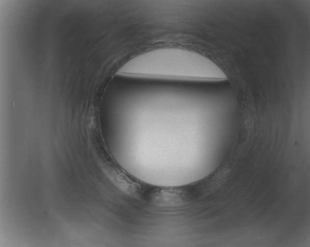 X0000081450758200701121014