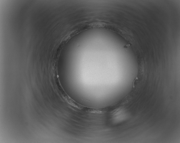 X0000081450759200701121015