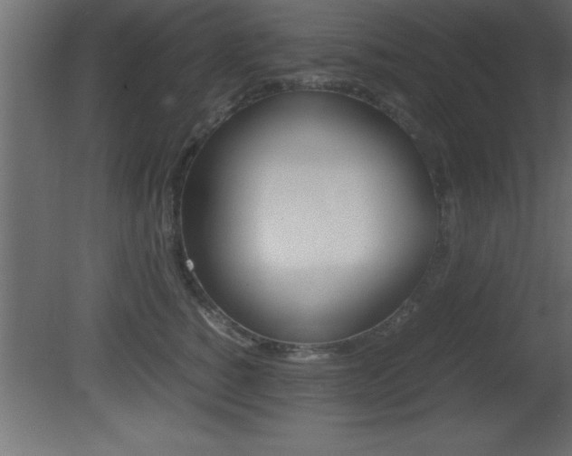 X0000081450760200701121015