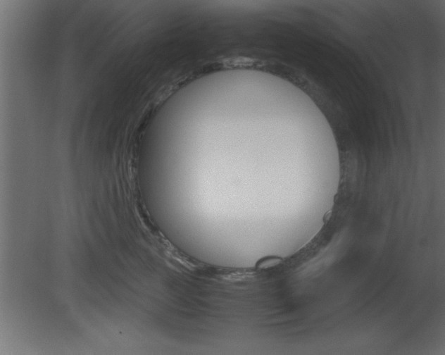 X0000081450761200701121015