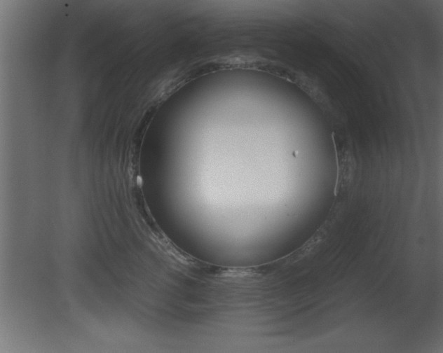 X0000081450762200701121015