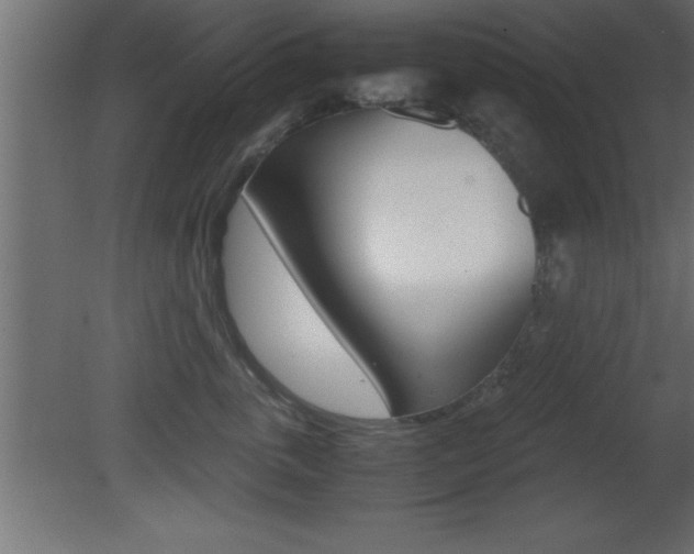 X0000081450763200701121015