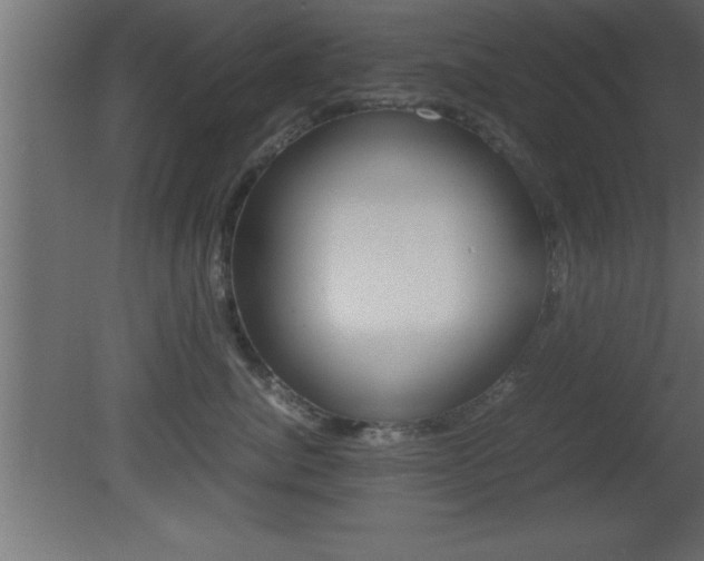 X0000081450764200701121015