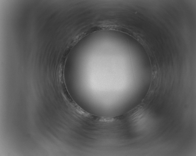 X0000081450767200701121015