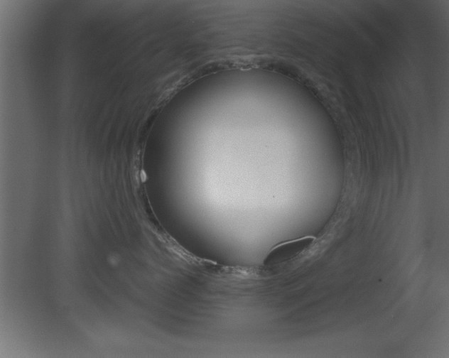 X0000081450768200701121015