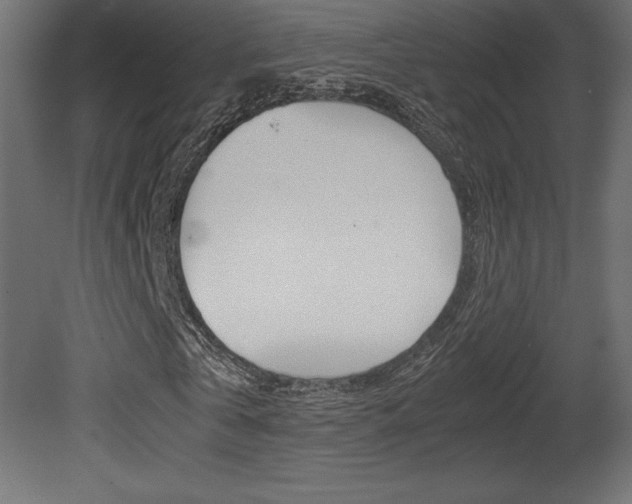 X0000081450769200701121014