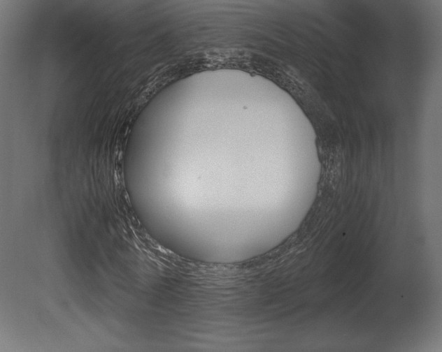 X0000081450770200701121014
