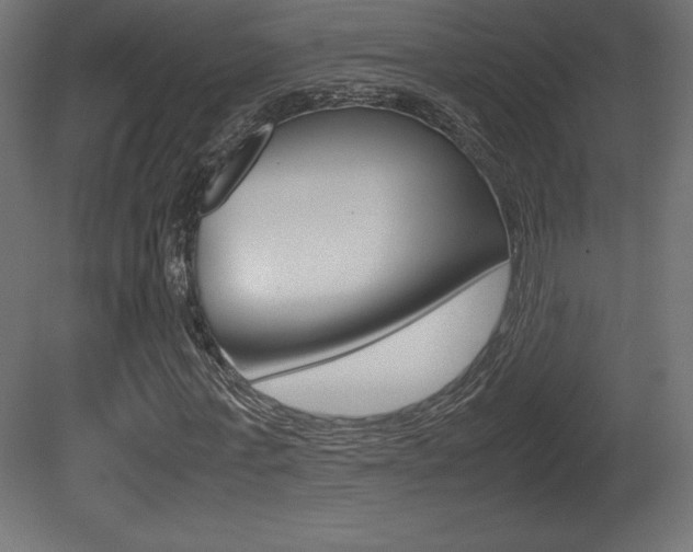 X0000081450771200701121014