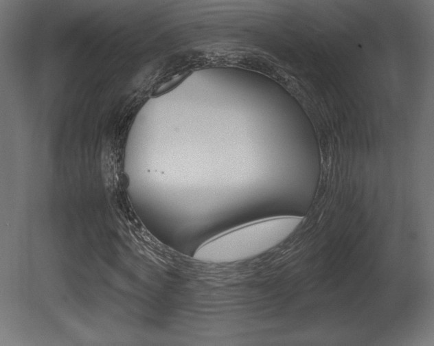 X0000081450772200701121014
