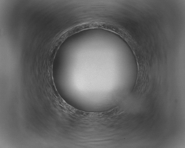 X0000081450773200701121014