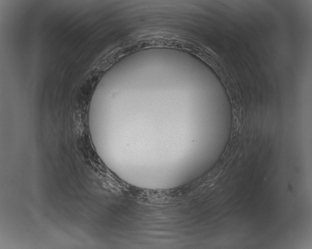 X0000081450774200701121014