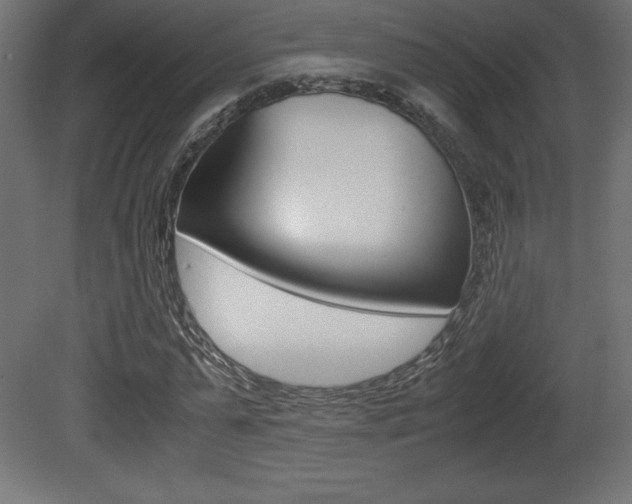 X0000081450775200701121014