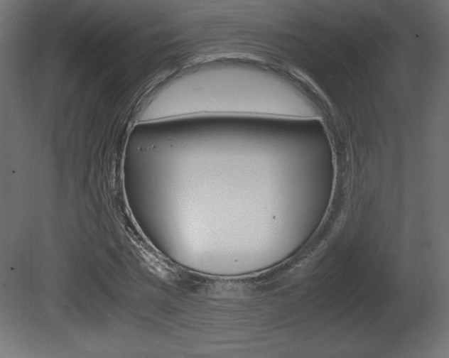 X0000081450777200701121014