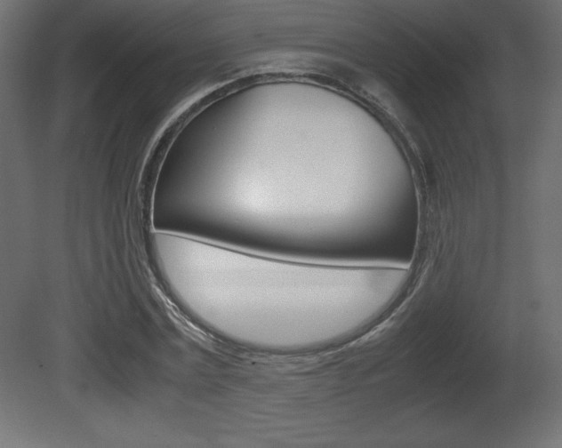 X0000081450779200701121014