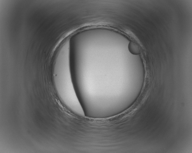 X0000081450781200701121014