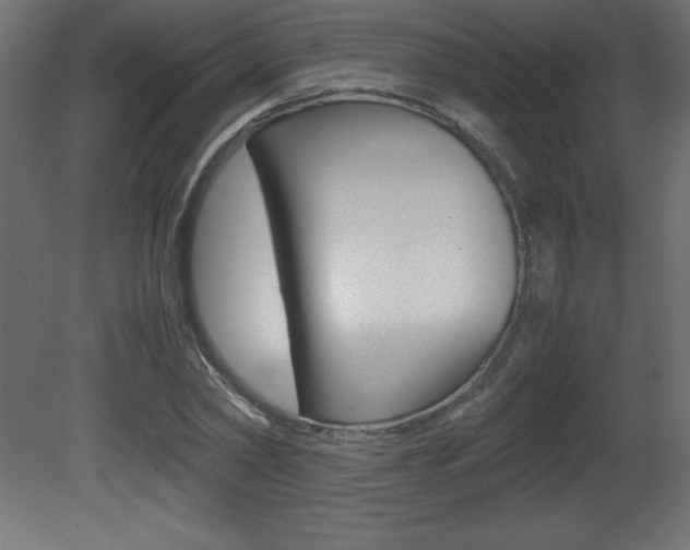X0000081450782200701121014