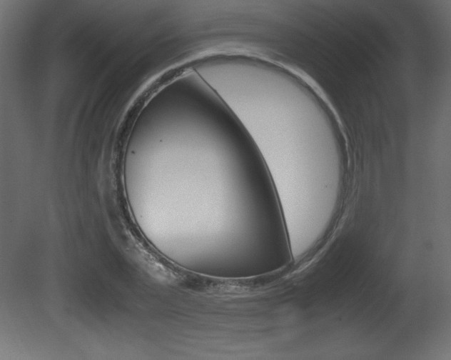 X0000081450783200701121014