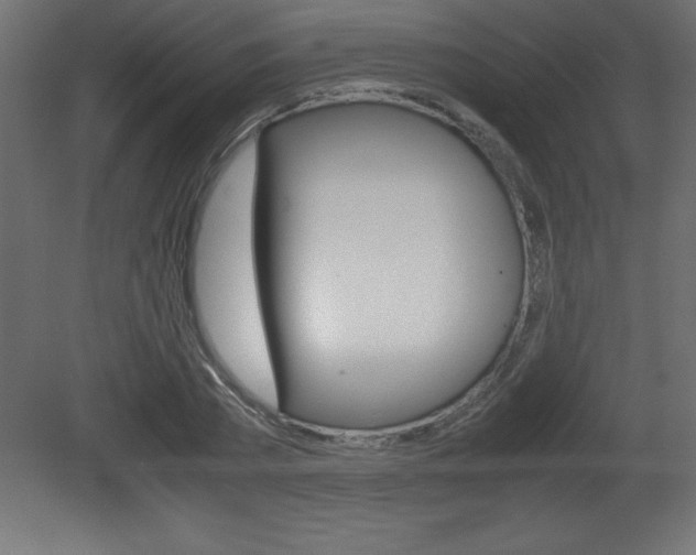 X0000081450785200701121014
