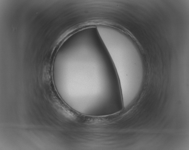 X0000081450786200701121014