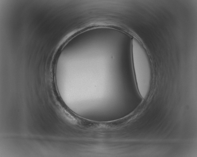 X0000081450787200701121014