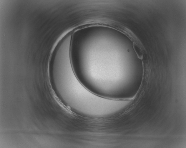 X0000081450788200701121013