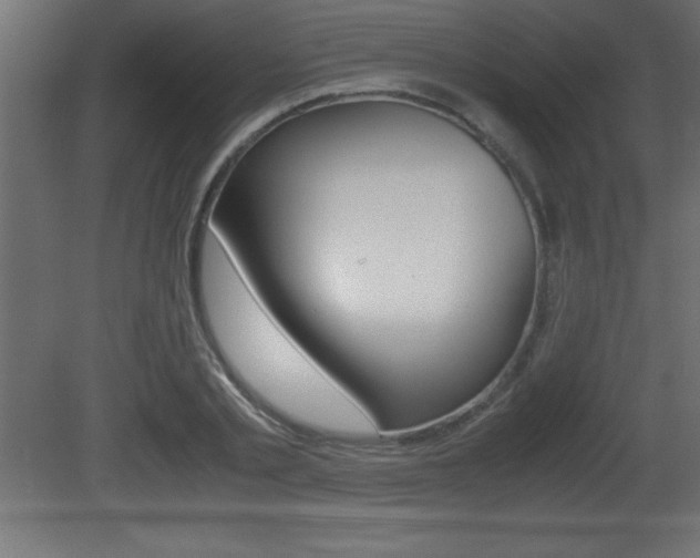 X0000081450789200701121013