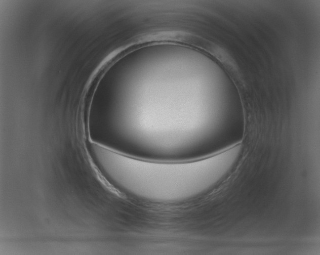 X0000081450792200701121013