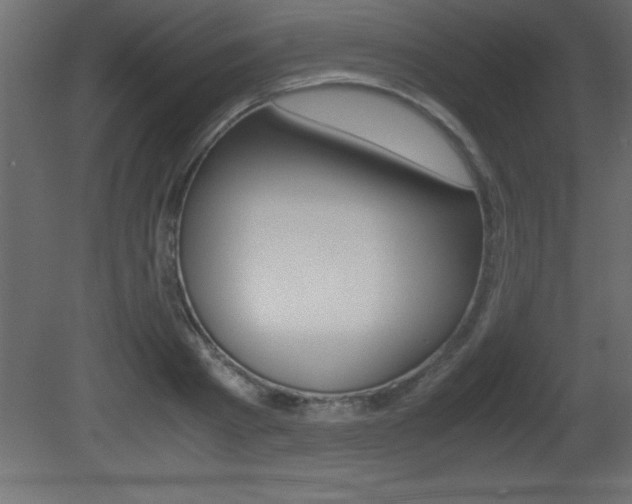 X0000081450793200701121013