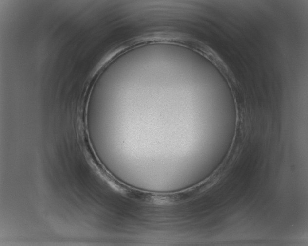 X0000081450794200701121013