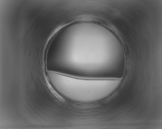 X0000081450795200701121013