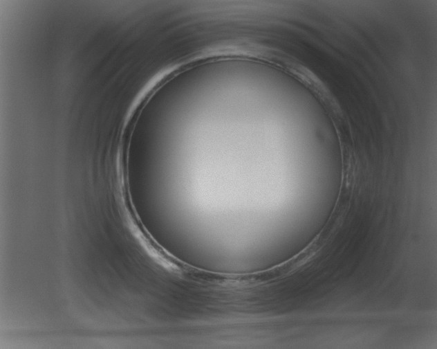 X0000081450796200701121013