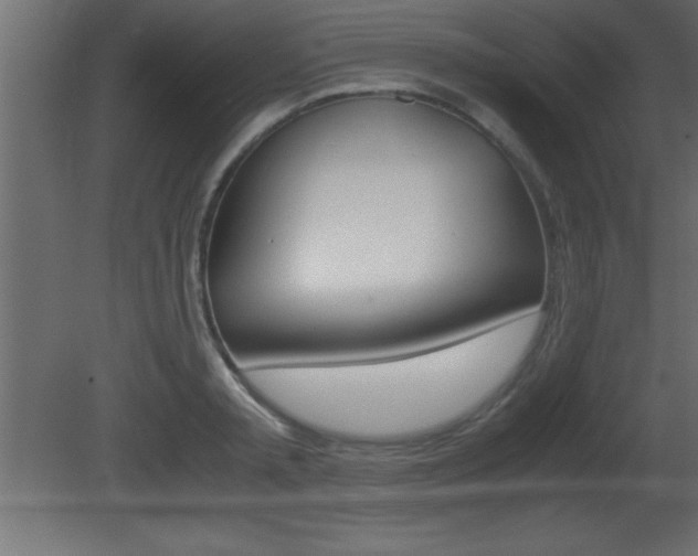 X0000081450797200701121013