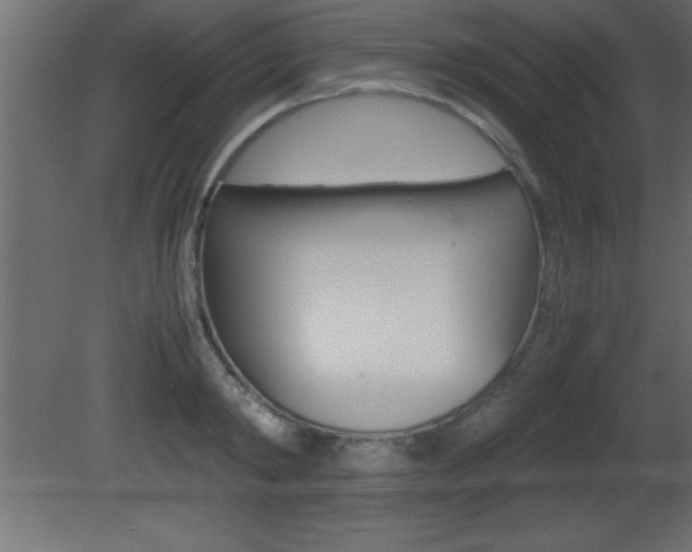 X0000081450798200701121013