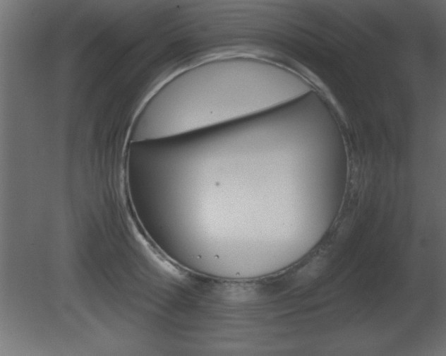 X0000081450802200701121013