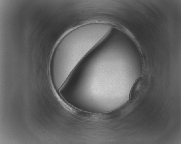 X0000081450803200701121013