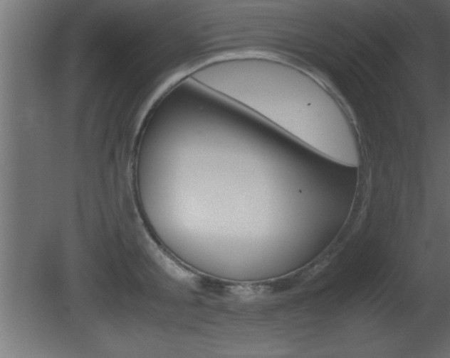 X0000081450805200701121013