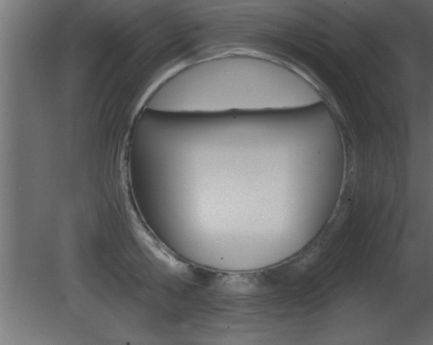 X0000081450806200701121013