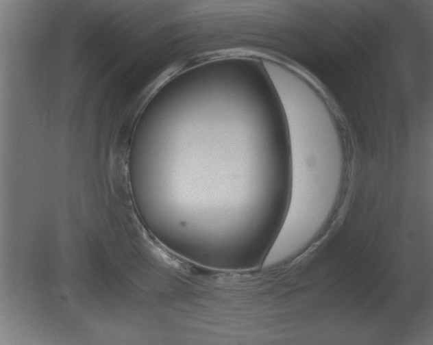 X0000081450809200701121013