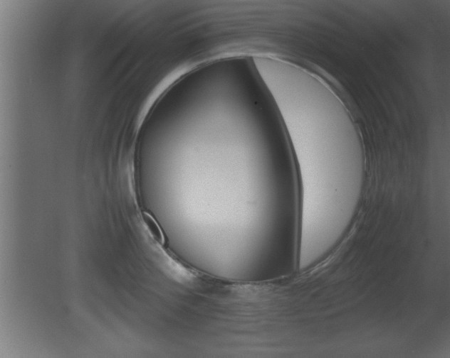 X0000081450812200701121013