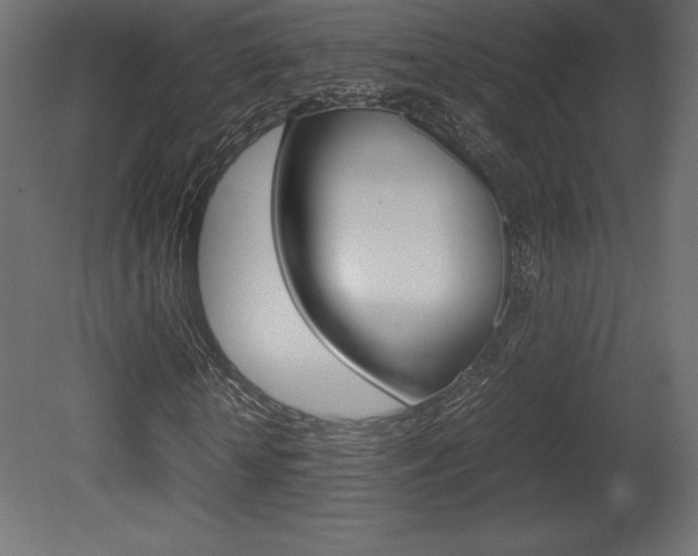 X0000081450818200701121012