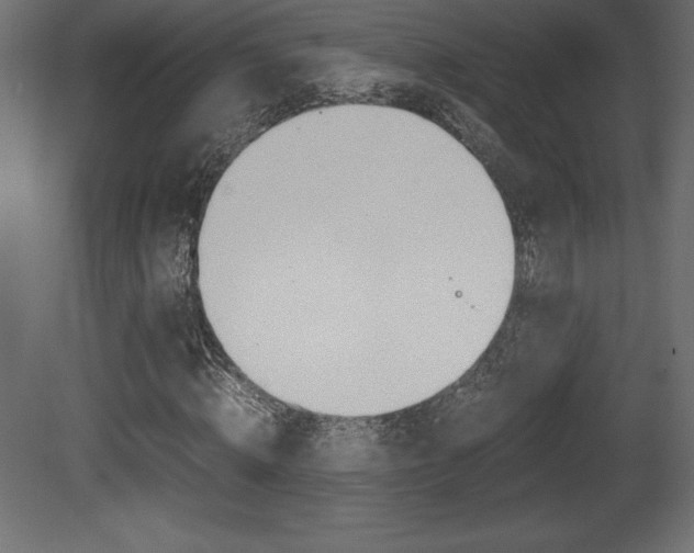 X0000081450820200701121012