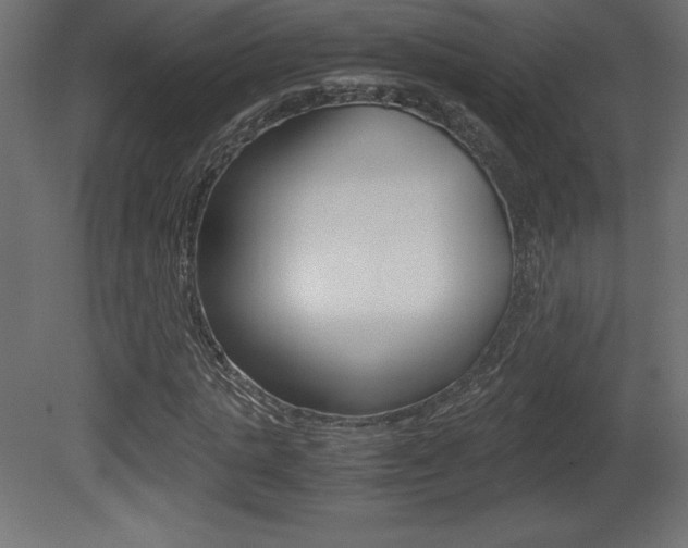 X0000081450821200701121012