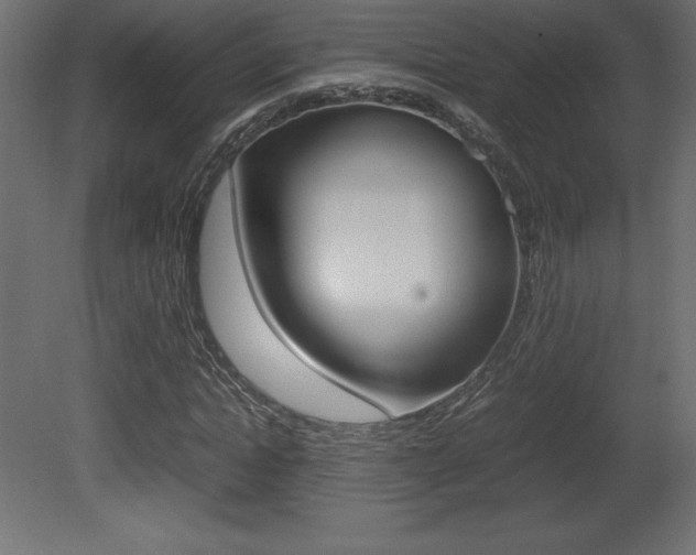 X0000081450822200701121012